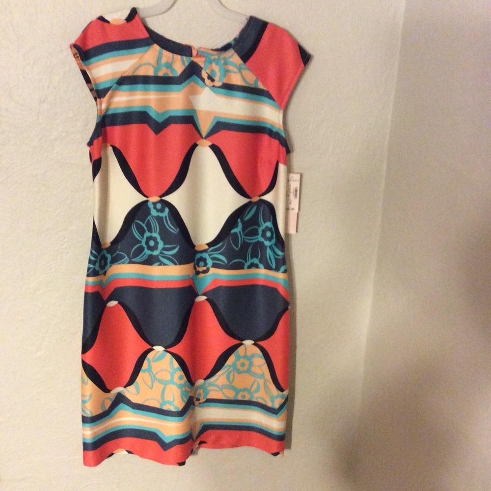 Dress Barn dress size 4